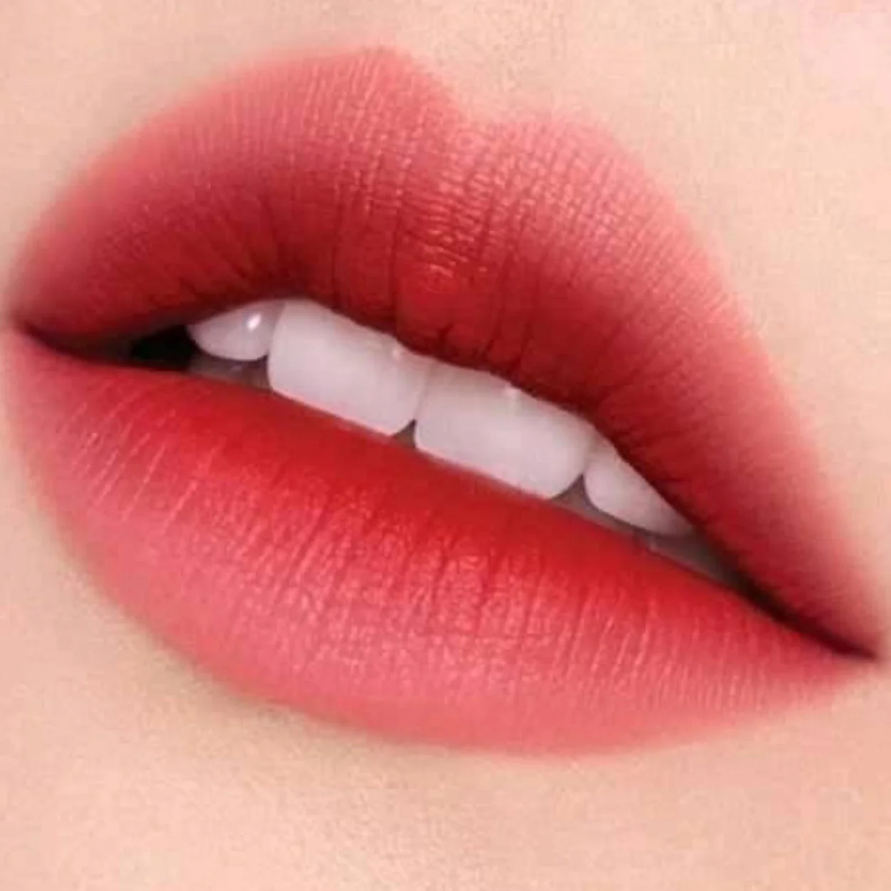 Imagen del producto 16